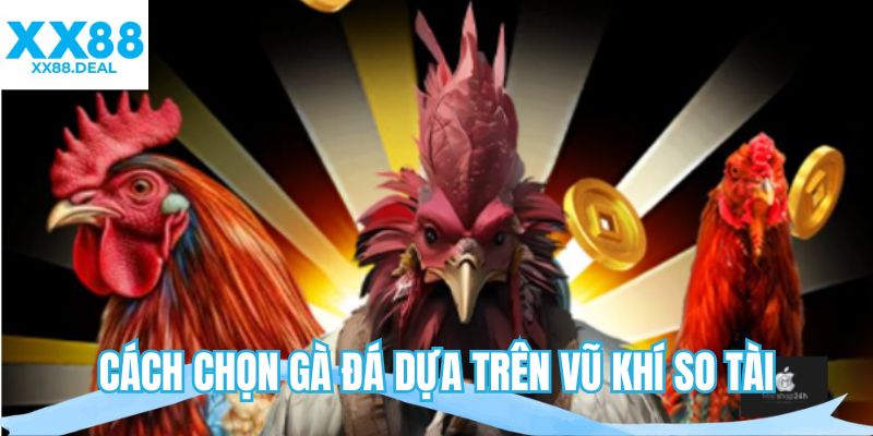 Cách chọn gà đá dựa trên vũ khí so tài