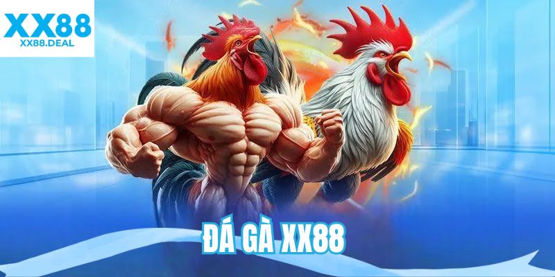 Đá gà XX88