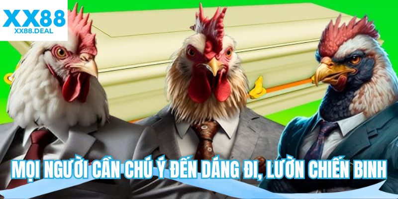 Mọi người cần chú ý đến dáng đi, lườn chiến binh