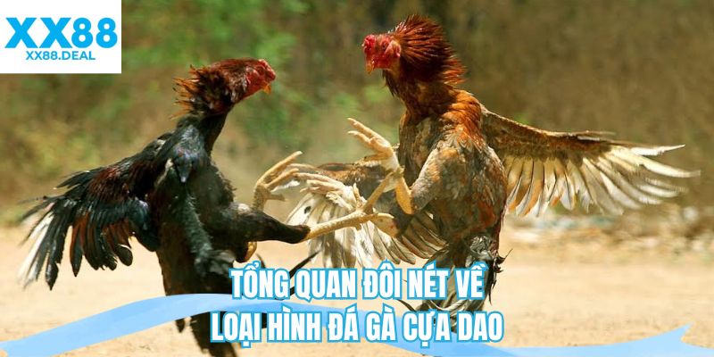 Tổng quan đôi nét về loại hình đá gà cựa dao